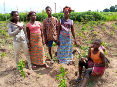 #552 Ivory Coast: Bricks